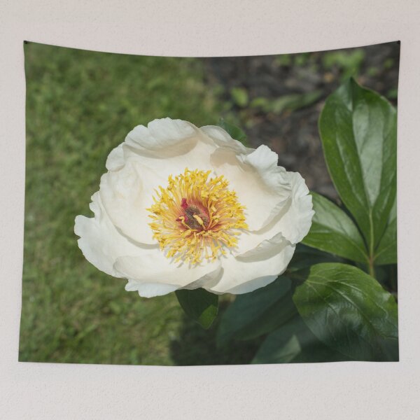 Item preview, One Exquisite Ivory White Peony Bloom designed and sold by Georgia Mizuleva.