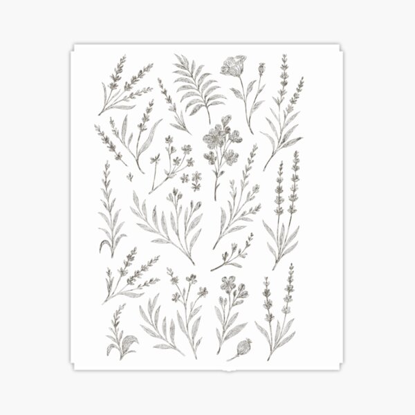 Item preview, Copy of Elegant Black and White Botanical Illustration Vintage Etching Style Plant Design designed and sold by YoriTeeShop.