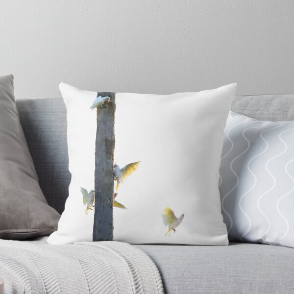 Item preview, Morning Play designed and sold by Siene Browne.
