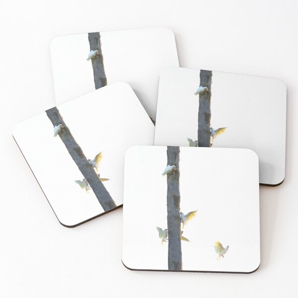 Item preview, Morning Play designed and sold by Siene Browne.