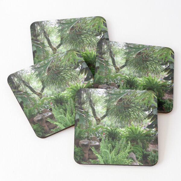 Item preview, Ferns talking  designed and sold by RosJoy.