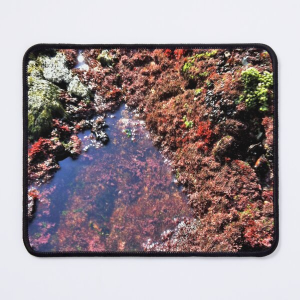 Item preview, Rock pool garden designed and sold by RosJoy.