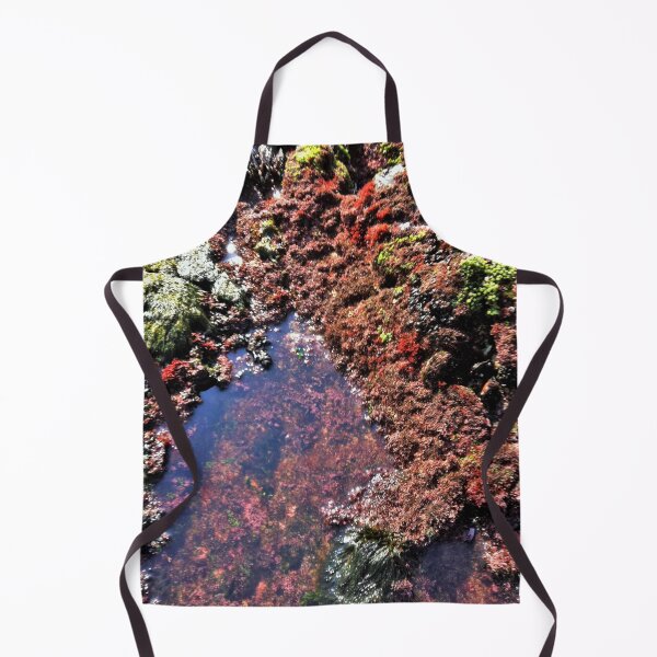 Item preview, Rock pool garden designed and sold by RosJoy.