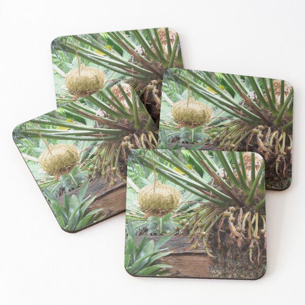 Item preview, Cycas production  designed and sold by RosJoy.