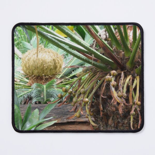 Item preview, Cycas production  designed and sold by RosJoy.
