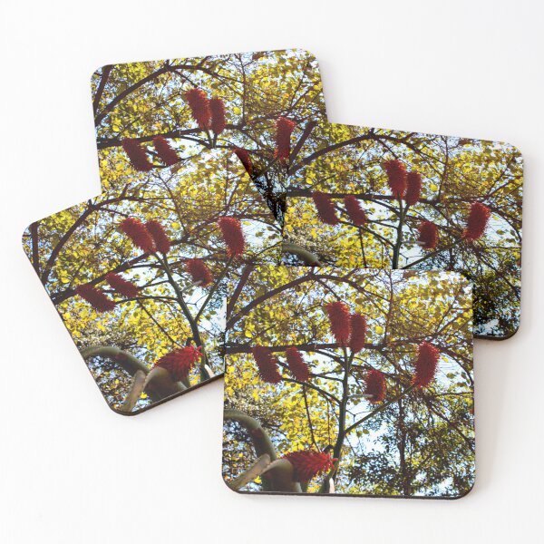 Item preview, Blooming with a back drop  designed and sold by RosJoy.