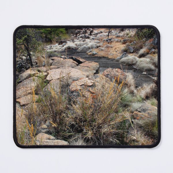 Item preview, A magical walk  designed and sold by RosJoy.