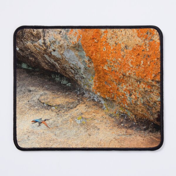 Item preview, Blending in... on home ground designed and sold by RosJoy.