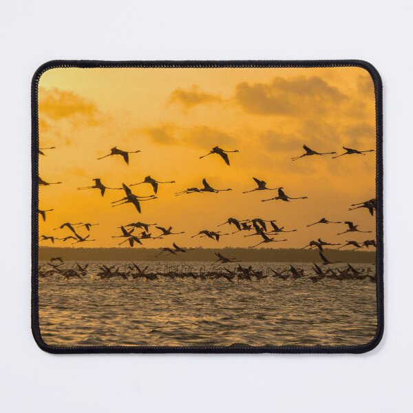 Item preview, Flying flamingoes at sunset designed and sold by Photopat.