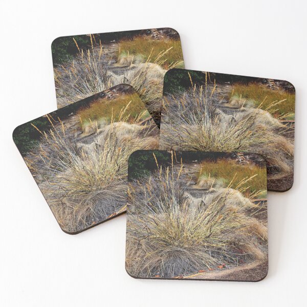 Item preview, Breath taking to observe  designed and sold by RosJoy.