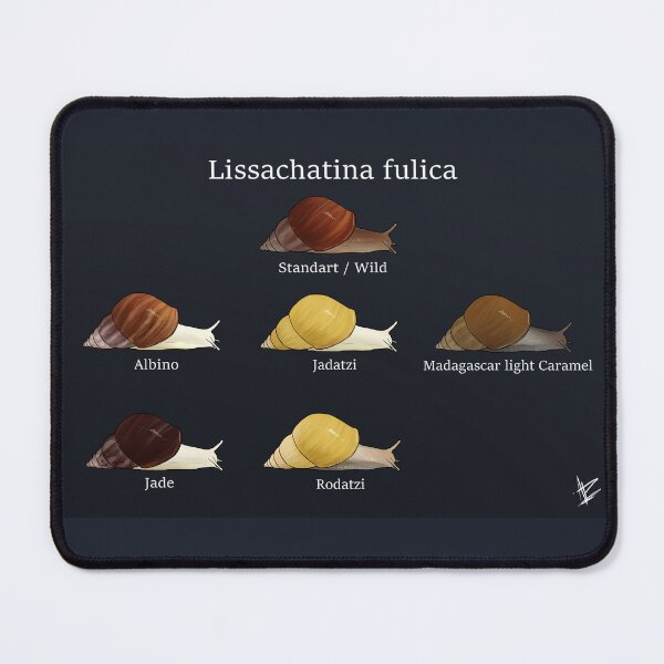 Item preview, Lissachatina fulica types designed and sold by HamHam5.