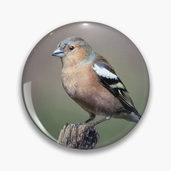 Item preview, The Chaffinch designed and sold by Tom McPherson Photography.
