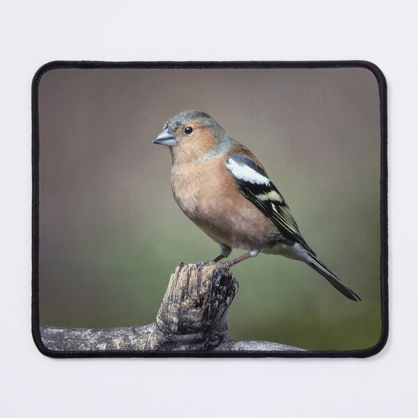 Item preview, The Chaffinch designed and sold by Tom McPherson Photography.