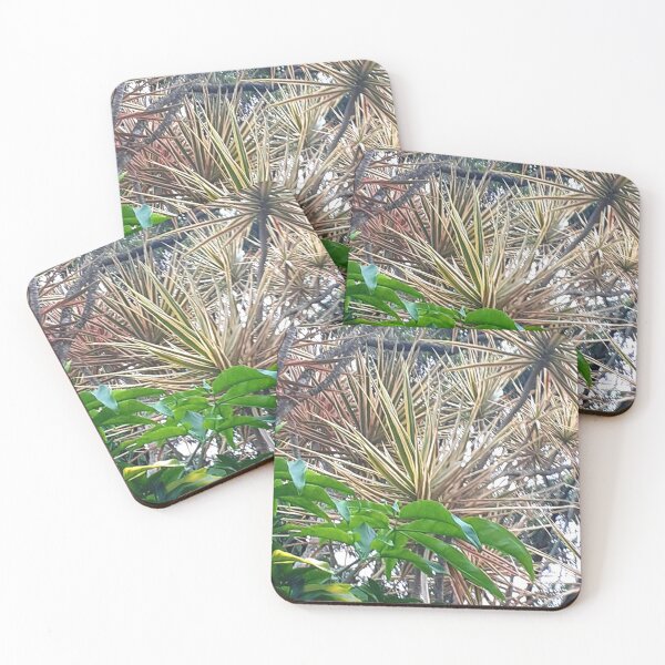Item preview, Leaves in display  designed and sold by RosJoy.