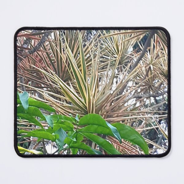 Item preview, Leaves in display designed and sold by RosJoy.