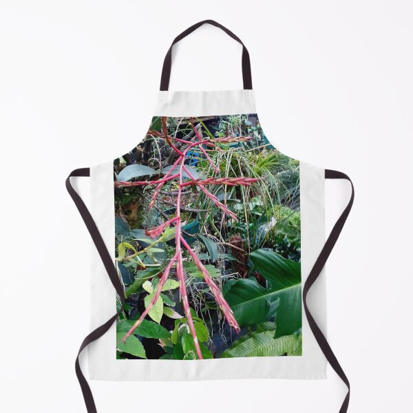 Item preview, Air plant beauty designed and sold by RosJoy.