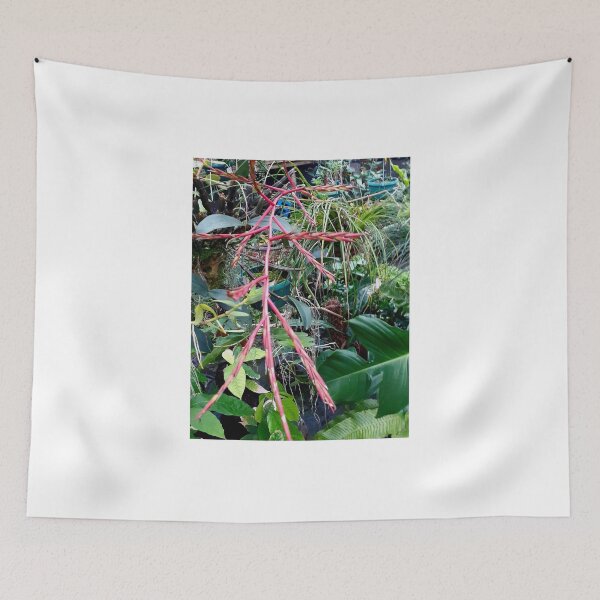 Item preview, Air plant beauty designed and sold by RosJoy.