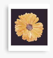 polygonal chrysanthemum Canvas Print