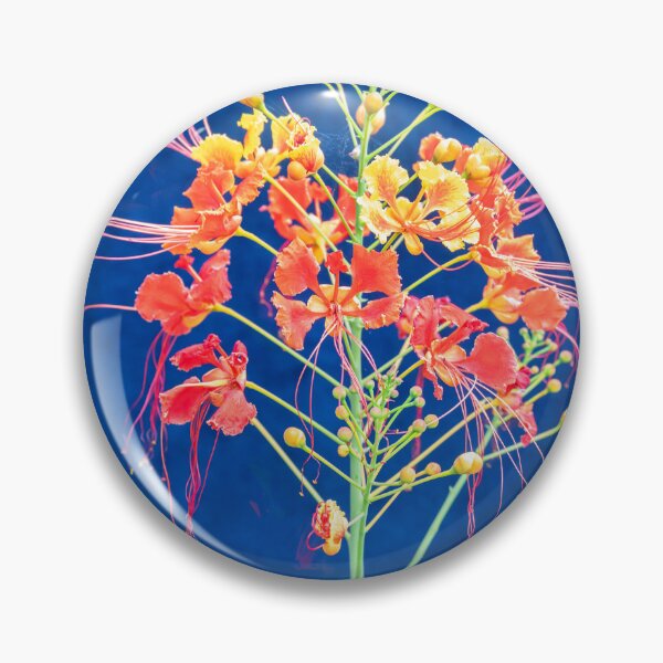 Artikelvorschau, Rote und orange Caesalpinia Blüten X103 entworfen und verkauft von RichFrancoCars.