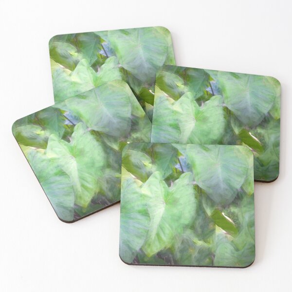 Item preview, Elephant Ear Plant Colocasia Bok Tower X101 designed and sold by RichFrancoCars.