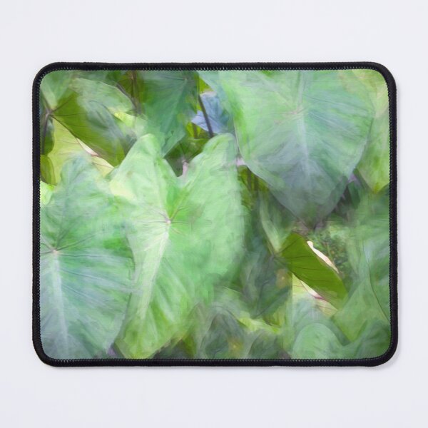 Item preview, Elephant Ear Plant Colocasia Bok Tower X101 designed and sold by RichFrancoCars.