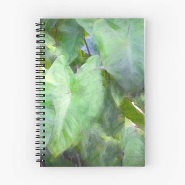 Item preview, Elephant Ear Plant Colocasia Bok Tower X101 designed and sold by RichFrancoCars.