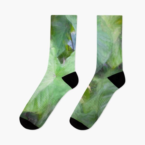 Item preview, Elephant Ear Plant Colocasia Bok Tower X101 designed and sold by RichFrancoCars.
