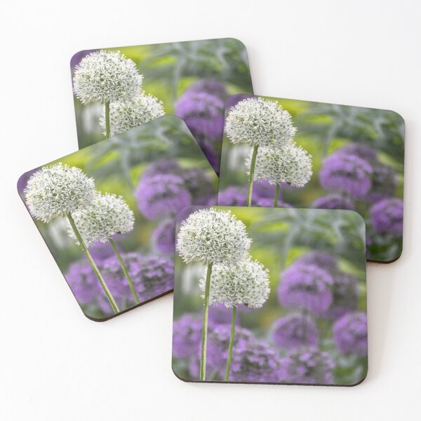 Item preview, UK. Scotland. Edinburgh. Prince's Gardens. Flowers.  designed and sold by vadim19.