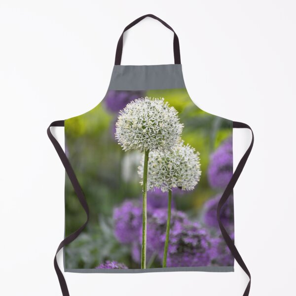 Item preview, UK. Scotland. Edinburgh. Prince's Gardens. Flowers.  designed and sold by vadim19.