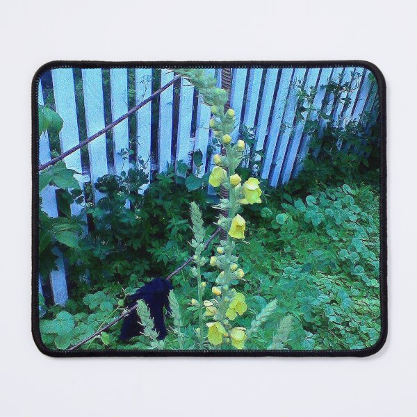 Item preview, Mullein Flower by White Fence – “King's Scepter” in Rustic Garden designed and sold by NatureChampion.