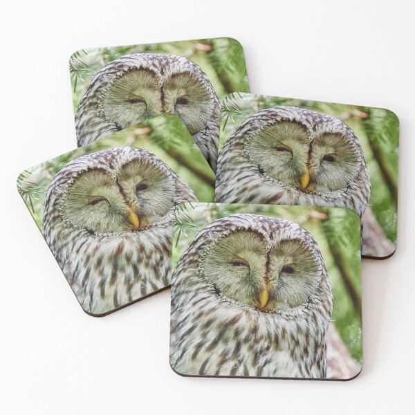 Item preview, Ural Owl designed and sold by Eidetic Photos.