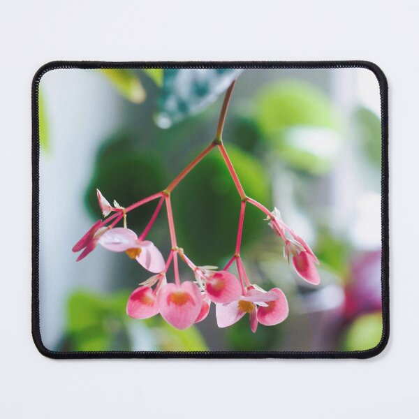 Item preview, Begonia flowers designed and sold by chiara-chiarel.