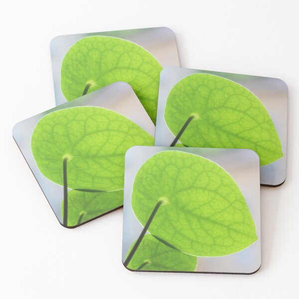 Item preview, Pilea designed and sold by chiara-chiarel.