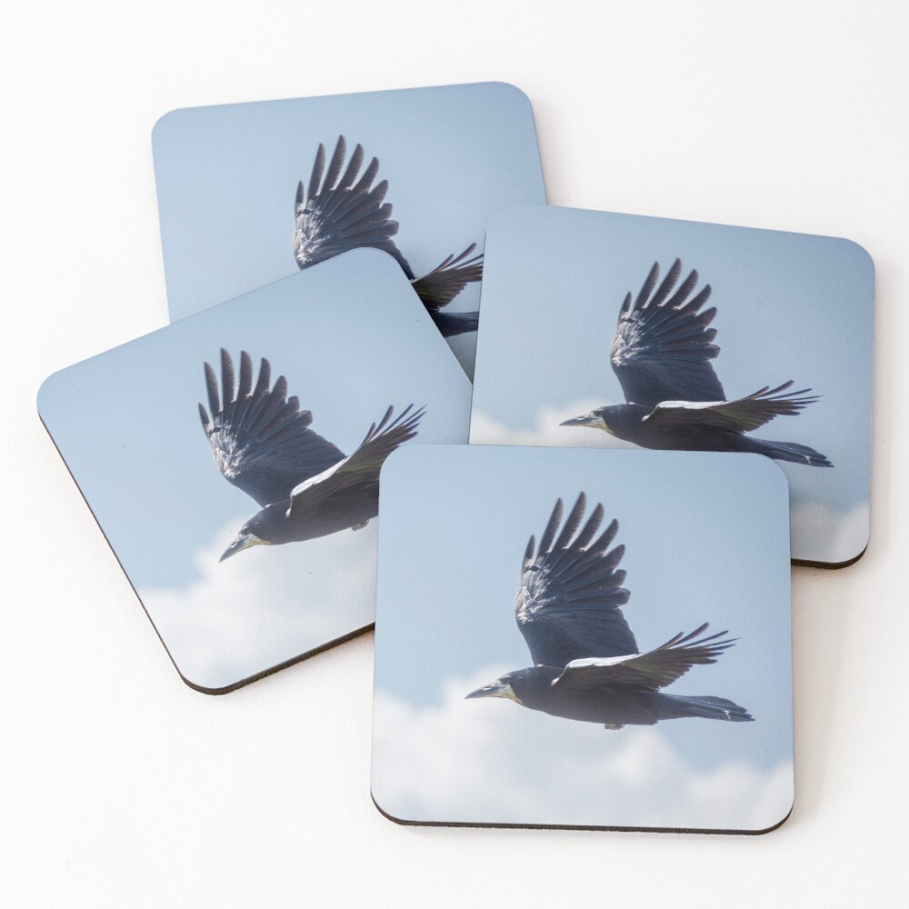 Item preview, Coasters (Set of 4) designed and sold by debramartz.