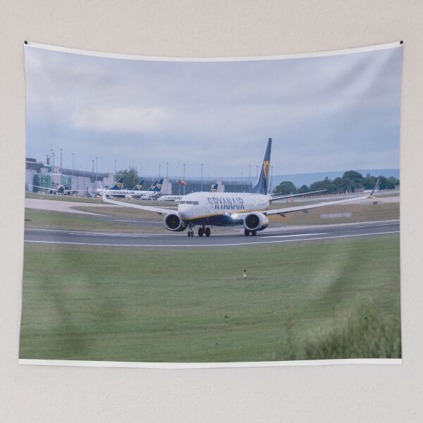 Item preview, MAN to ALC Ryanair Boeing 737 MAX 8-200 EI-HGY designed and sold by Skyframe Aviation.