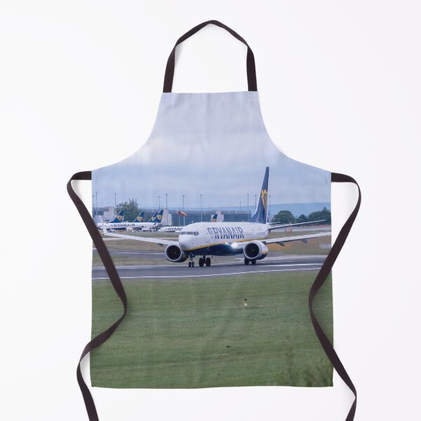 Item preview, MAN to ALC Ryanair Boeing 737 MAX 8-200 EI-HGY designed and sold by Skyframe Aviation.