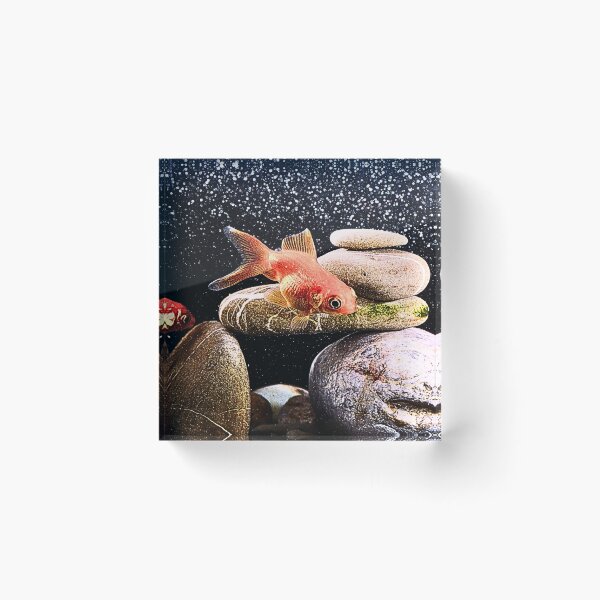 Item preview, Fish pack designed and sold by Echo Aesthetics.
