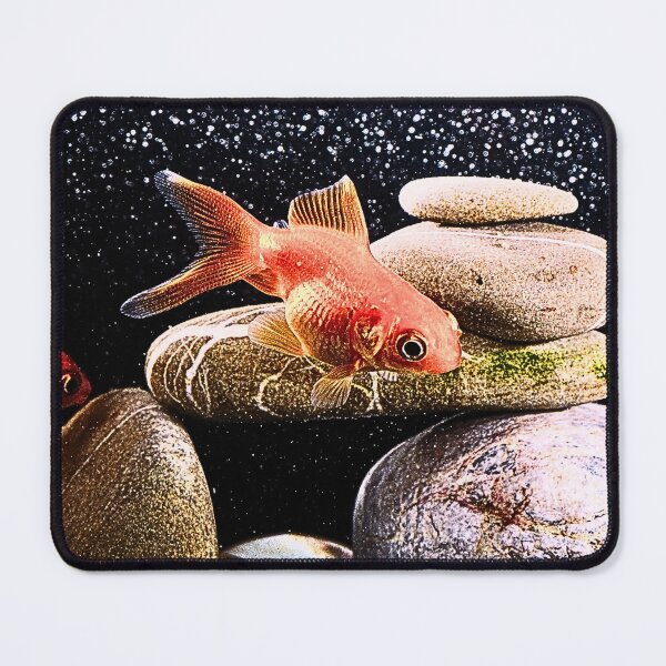 Item preview, Fish pack designed and sold by Echo Aesthetics.