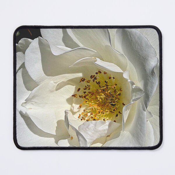 Item preview, Timeless Beauty designed and sold by Betsy Phillips.
