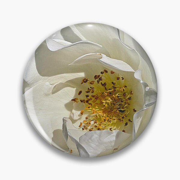 Item preview, Timeless Beauty designed and sold by Betsy Phillips.