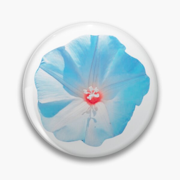 Item preview, Desert Primrose Photo designed and sold by Mystical Fairy Forage.