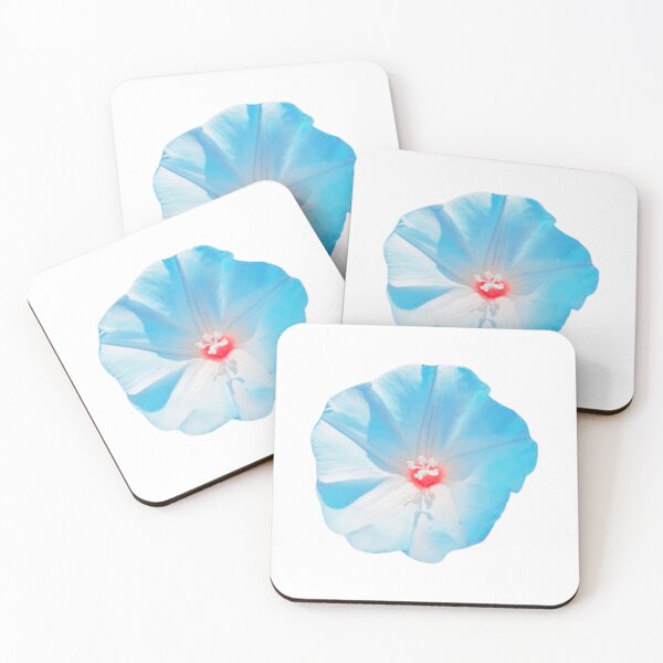 Item preview, Desert Primrose Photo designed and sold by Mystical Fairy Forage.