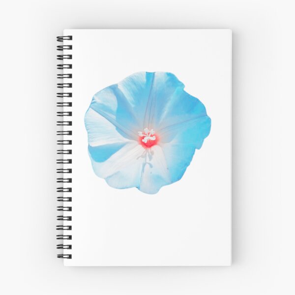 Item preview, Desert Primrose Photo designed and sold by Mystical Fairy Forage.