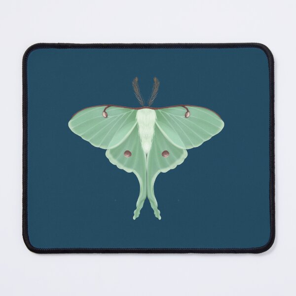 Item preview, Luna moth artwork designed and sold by cascinas.