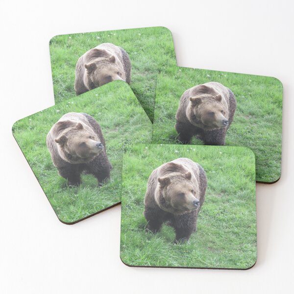 Item preview, Grizzly Bear At Grouse Mountain, BC, Canada designed and sold by lezvee.