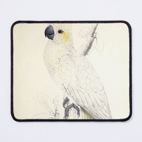 Item preview, Edward Lear's Parrots: Plyctolophus Sulphureus designed and sold by mariapopova.