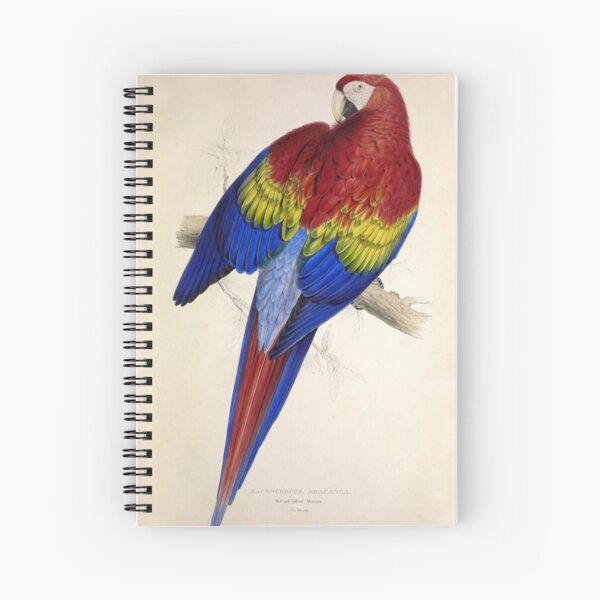 Item preview, Les perroquets d'Edward Lear : Macrocercus Aracanga designed and sold by mariapopova.