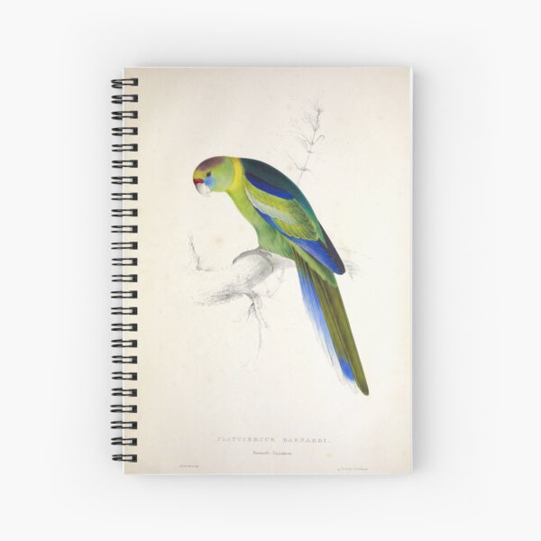 Item preview, Edward Lear's Parrots: Platycercus Barnardi designed and sold by mariapopova.