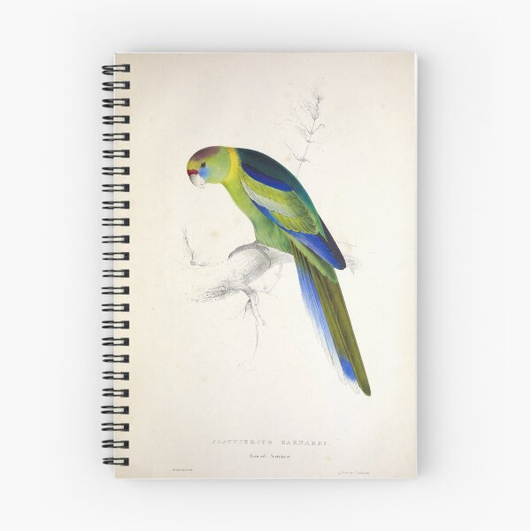 Item preview, Edward Lear's Parrots: Platycercus Barnardi designed and sold by mariapopova.