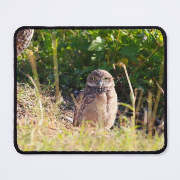 Item preview, Youthful Memories designed and sold by Michiale.